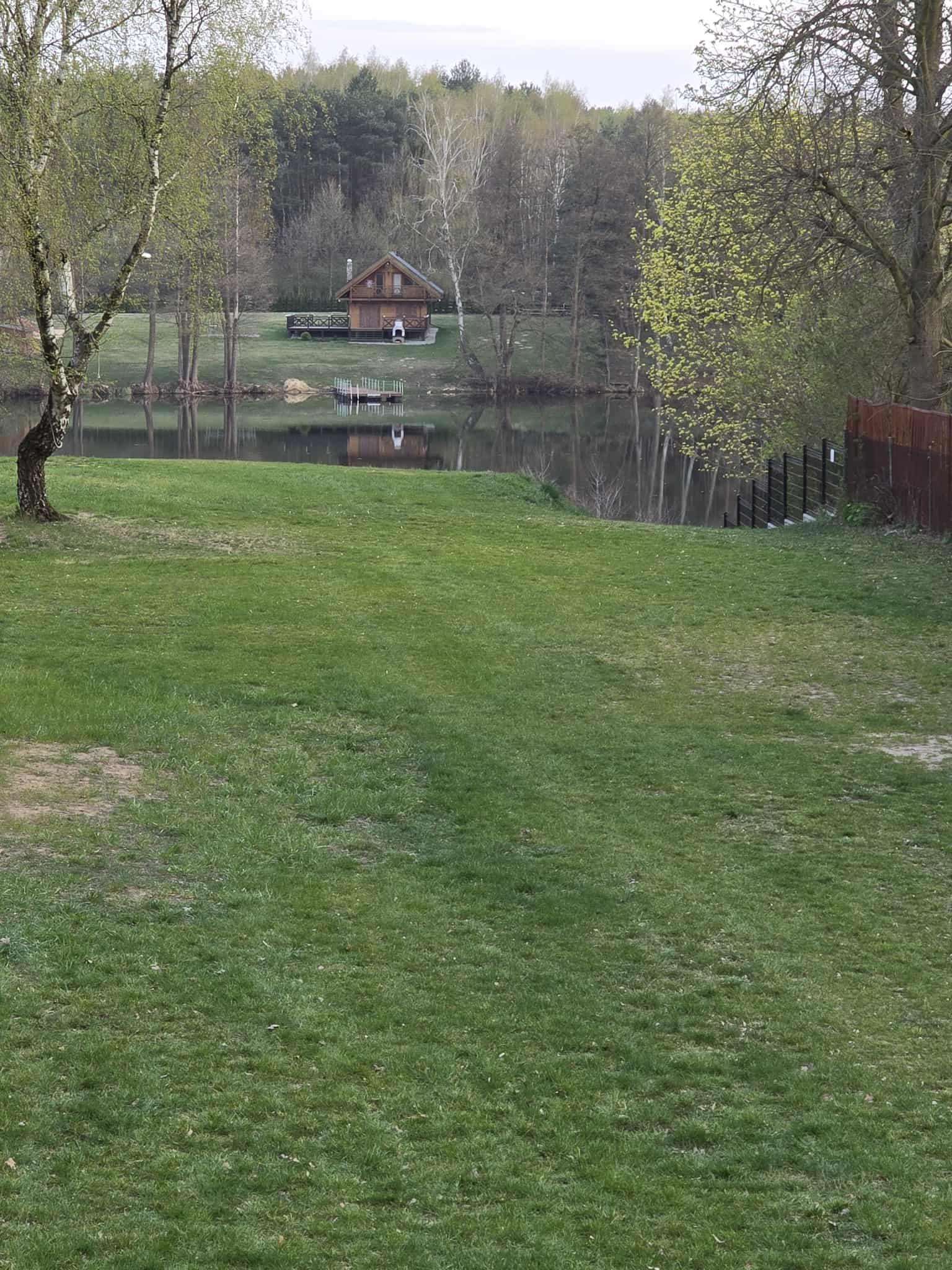 Rozległa, zielona trawa pola namiotowego